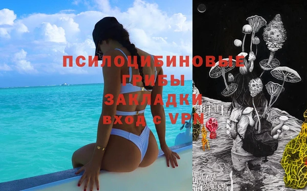 кокс Алзамай