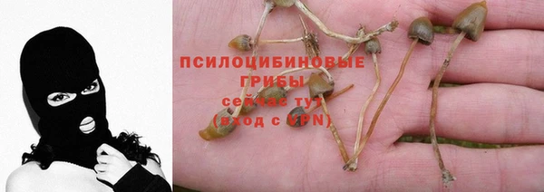 каннабис Алексеевка