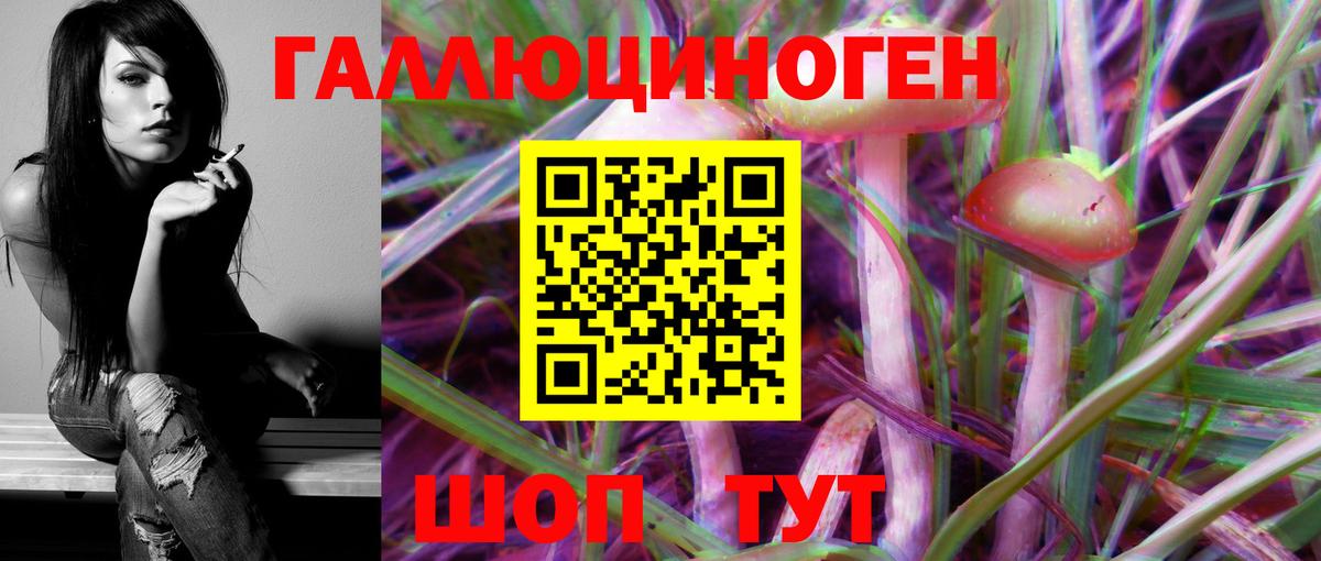 Псилоцибиновые грибы Magic Shrooms  Галлюциногенные грибы MAGIC MUSHROOMS  Вход с VPN  Майкоп 