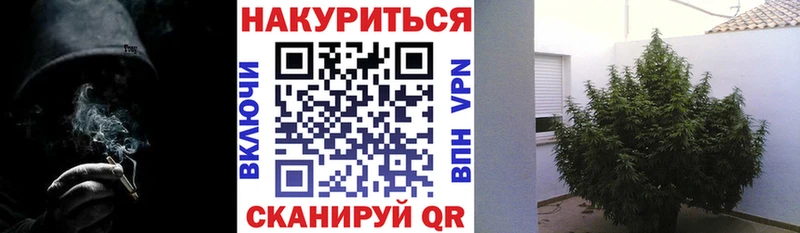 Марихуана тримм  Майкоп 